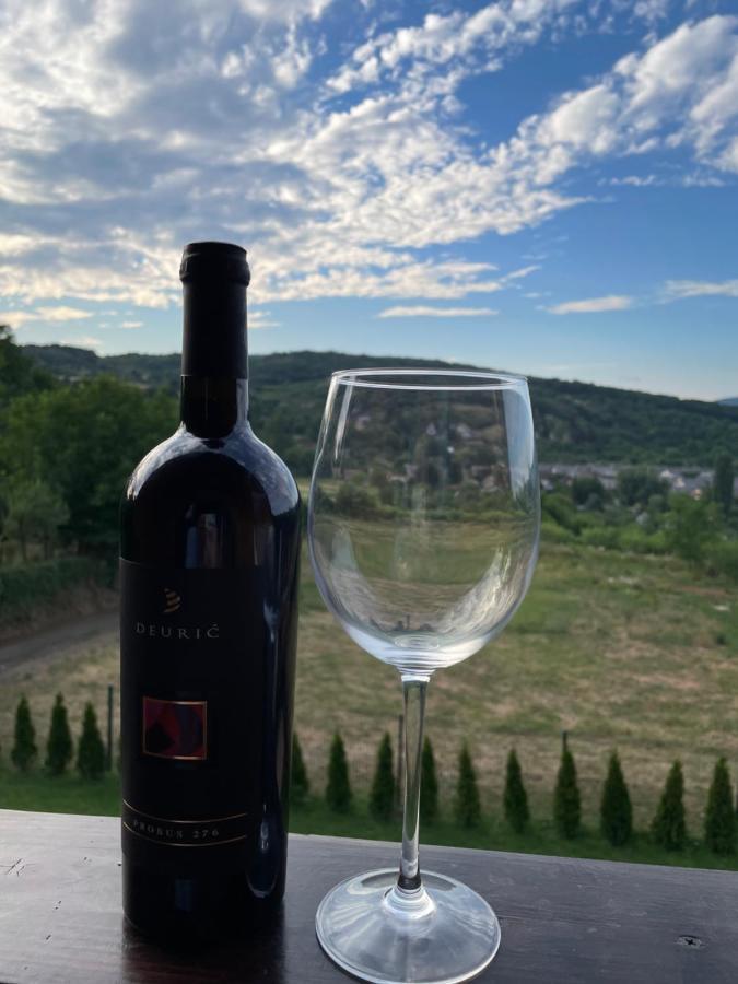 Vila Grujic Vrdnik Bagian luar foto
