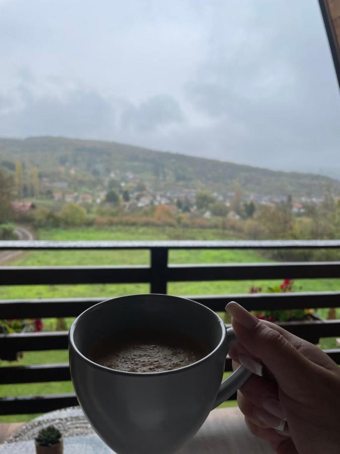 Vila Grujic Vrdnik Bagian luar foto